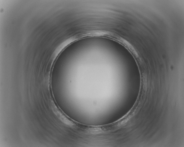 X0000083531186200702161905