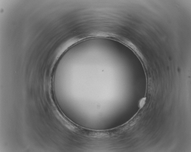 X0000083531187200702161905