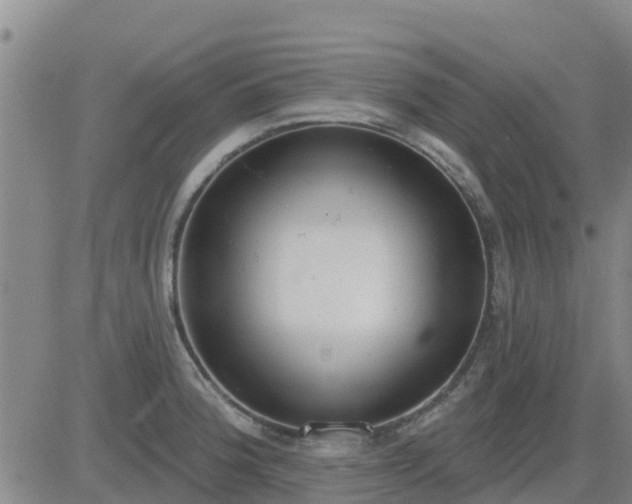 X0000083531188200702161905