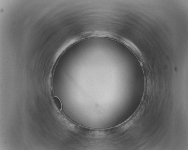 X0000083531190200702161904