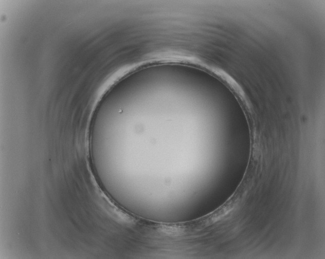 X0000083531191200702161904