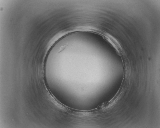 X0000083531192200702161904