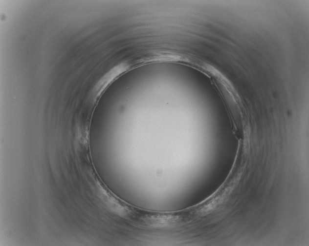 X0000083531193200702161904