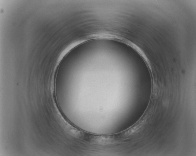 X0000083531195200702161904