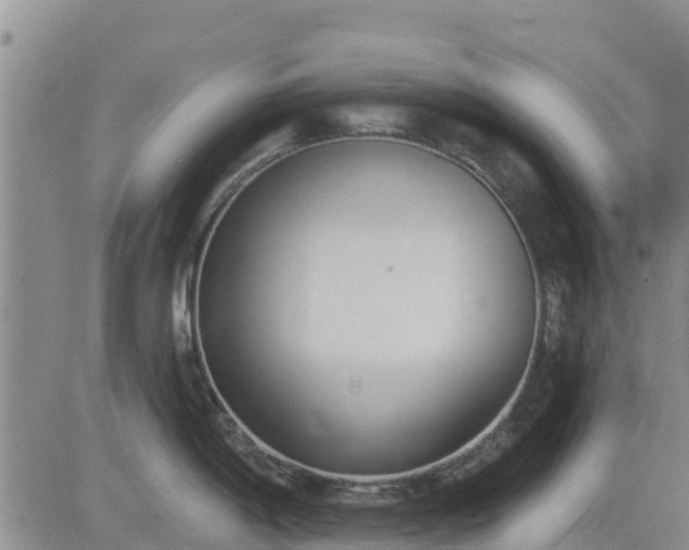 X0000083531198200702161904