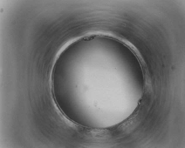 X0000083531199200702161904