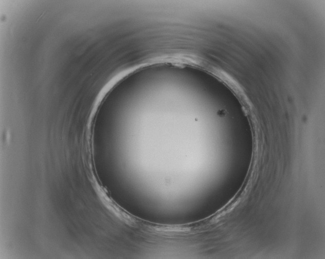 X0000083531200200702161904