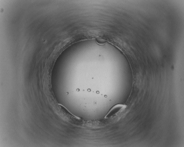 X0000083531201200702161904