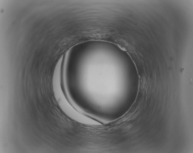 X0000083531202200702161904