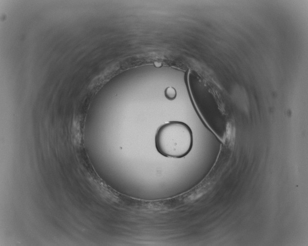 X0000083531203200702161904