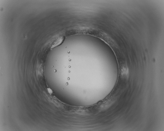 X0000083531204200702161904