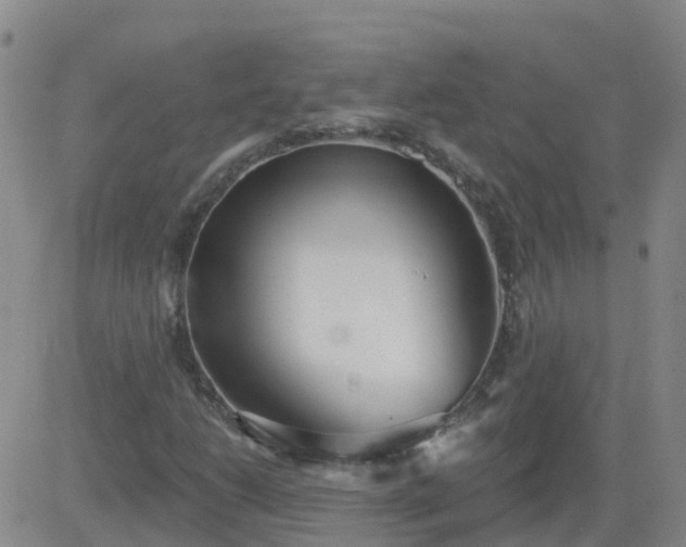 X0000083531206200702161904