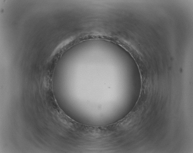 X0000083531207200702161904