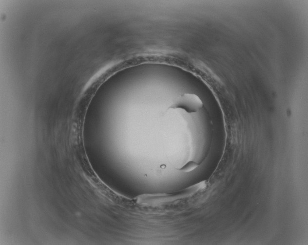 X0000083531208200702161904