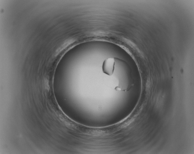 X0000083531209200702161904