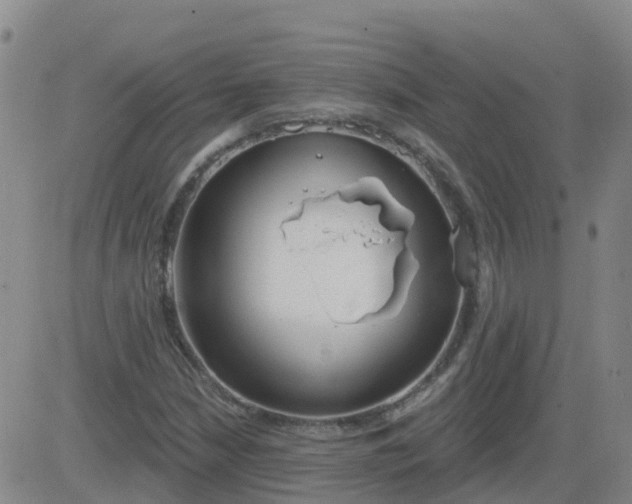 X0000083531210200702161904