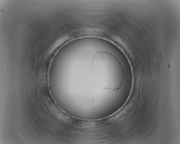 X0000083531211200702161904