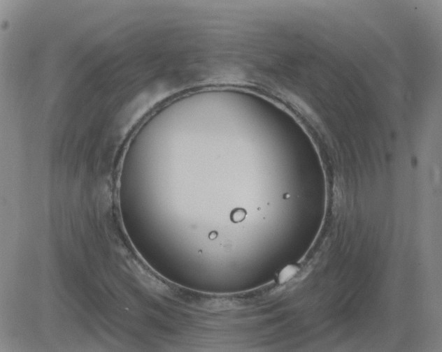 X0000083531212200702161904