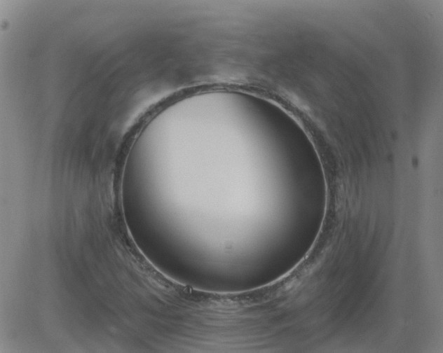 X0000083531214200702161904