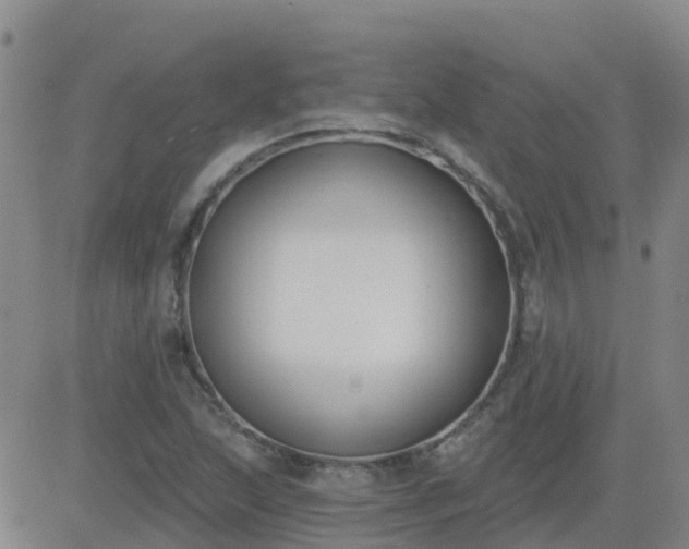 X0000083531215200702161904