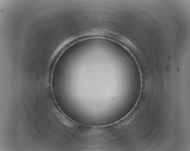 X0000083531216200702161904