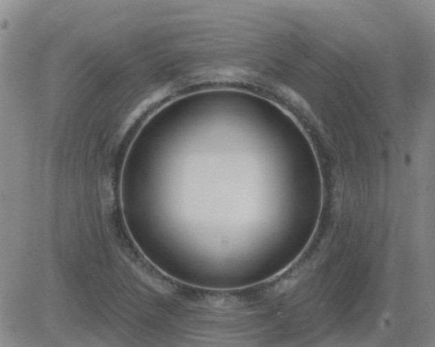 X0000083531218200702161904