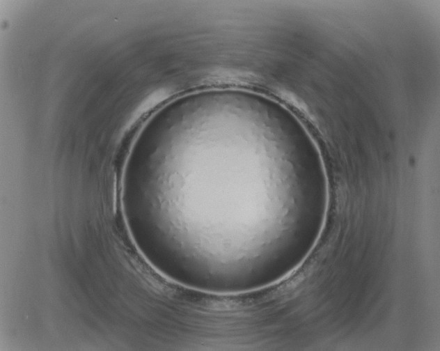 X0000083531219200702161904