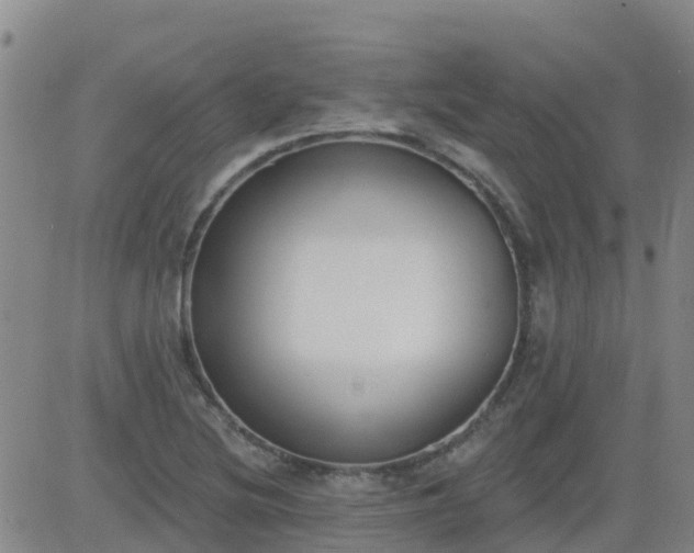 X0000083531220200702161904