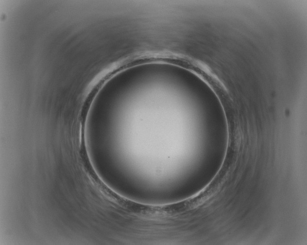 X0000083531221200702161904