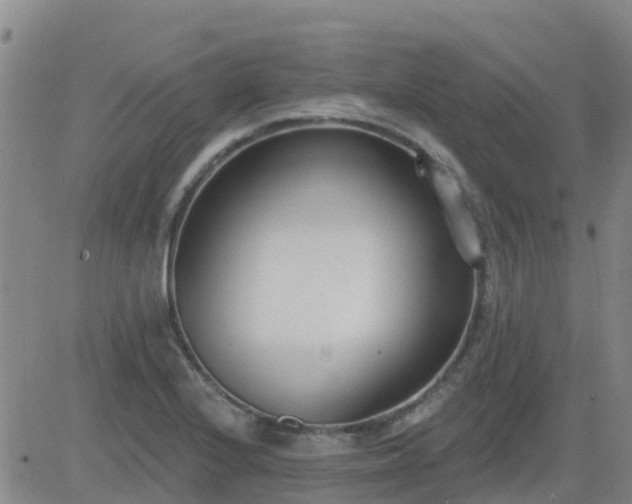 X0000083531224200702161904