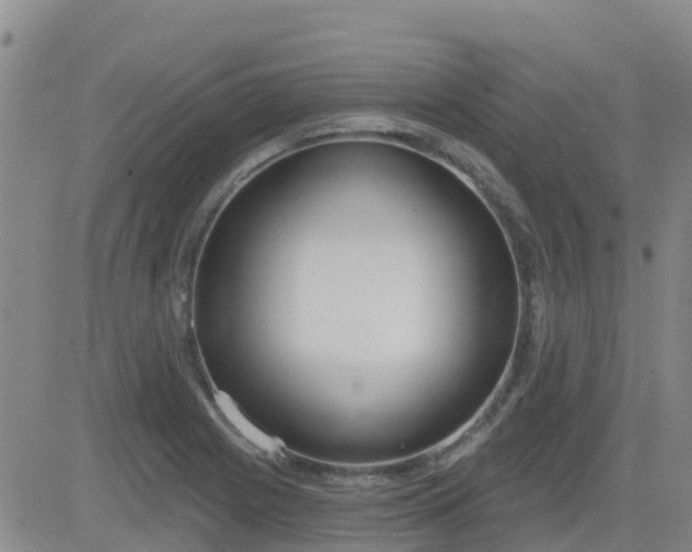 X0000083531225200702161904