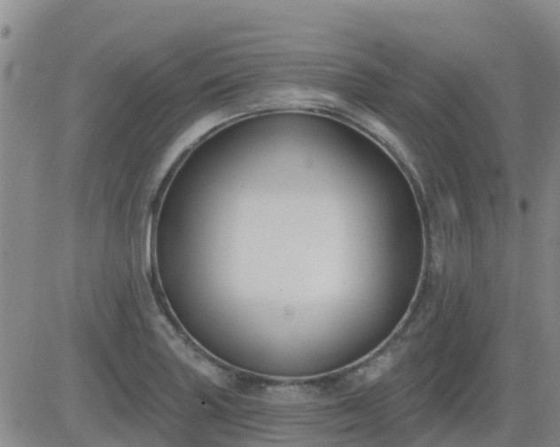 X0000083531227200702161904