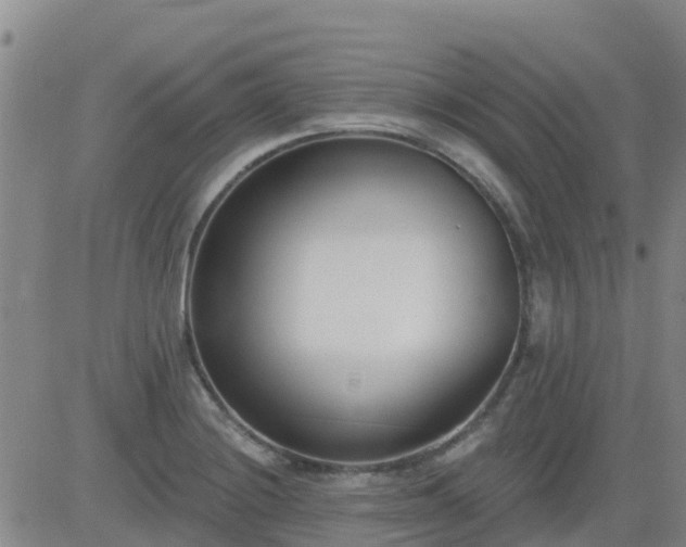 X0000083531228200702161904