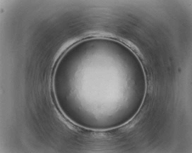 X0000083531231200702161904