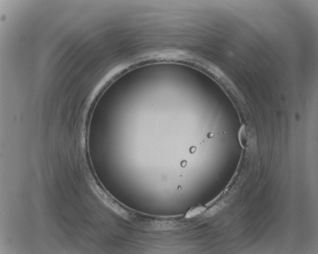 X0000083531232200702161904