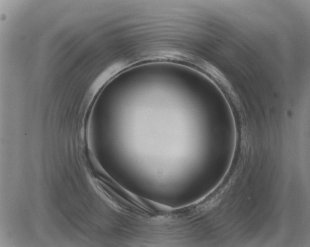 X0000083531234200702161904