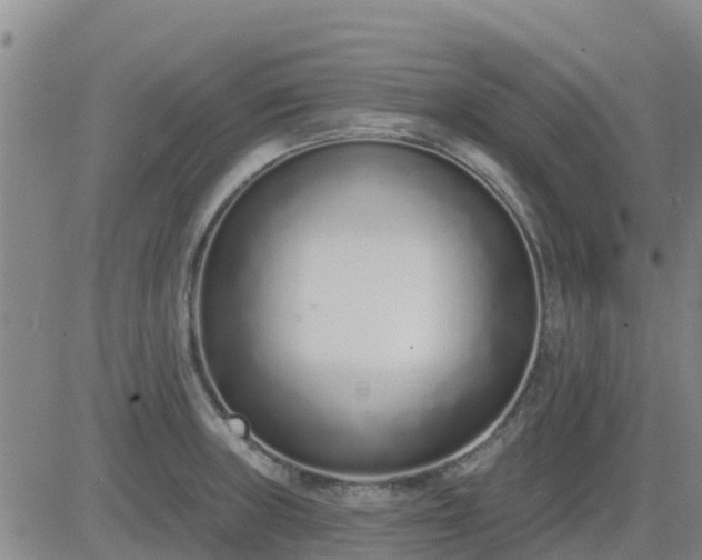 X0000083531235200702161904