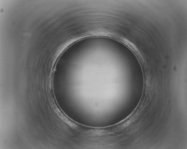 X0000083531236200702161904