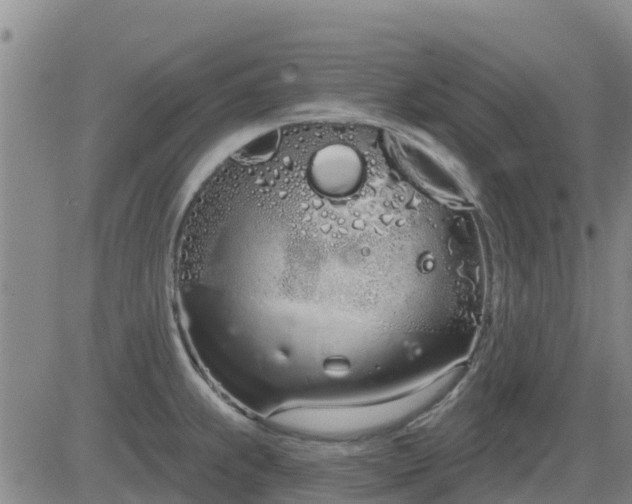 X0000083531239200702161904