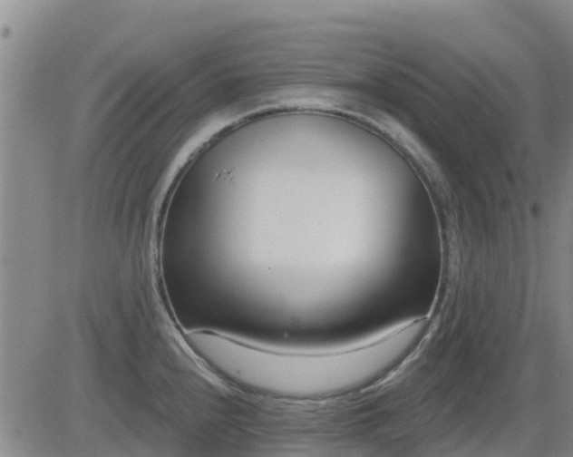 X0000083531240200702161904