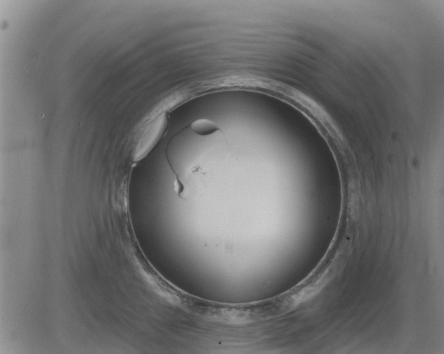 X0000083531241200702161904