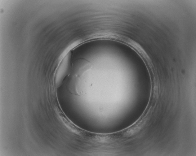 X0000083531242200702161904