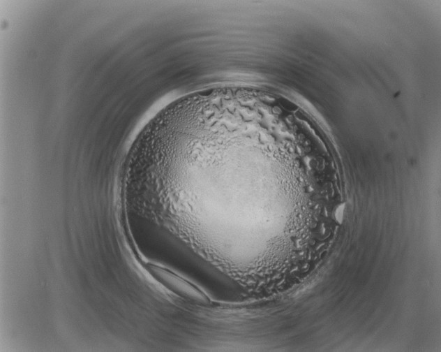 X0000083531243200702161904