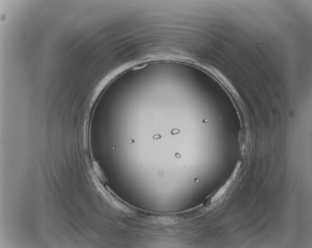 X0000083531246200702161904