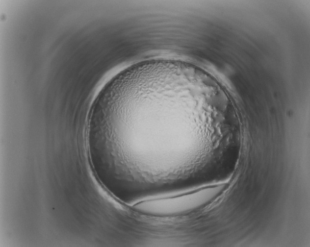 X0000083531247200702161904