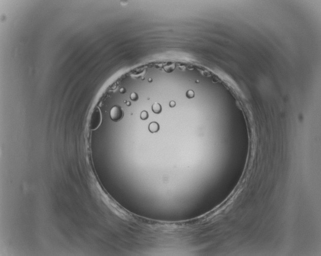 X0000083531248200702161904