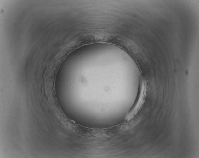 X0000083531249200702161904