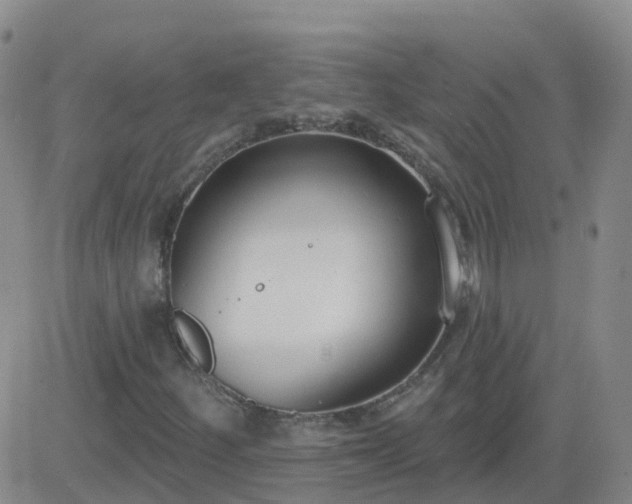 X0000083531252200702161903