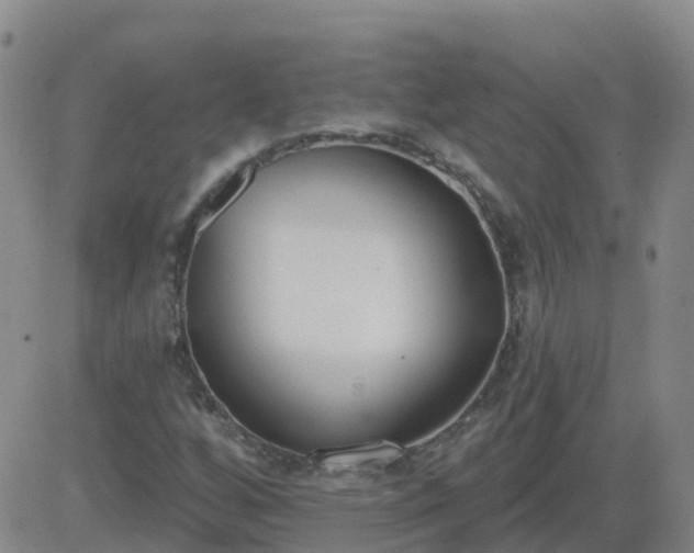 X0000083531256200702161903