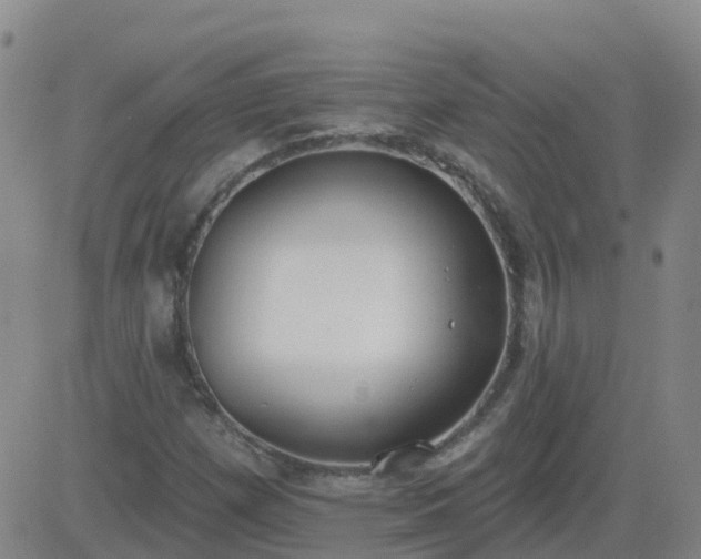 X0000083531257200702161903